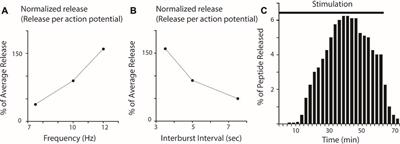 Peptide Cotransmitters as Dynamic, Intrinsic Modulators of Network Activity